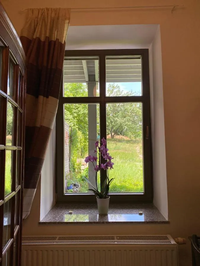 Dragonfly Apartment Brno