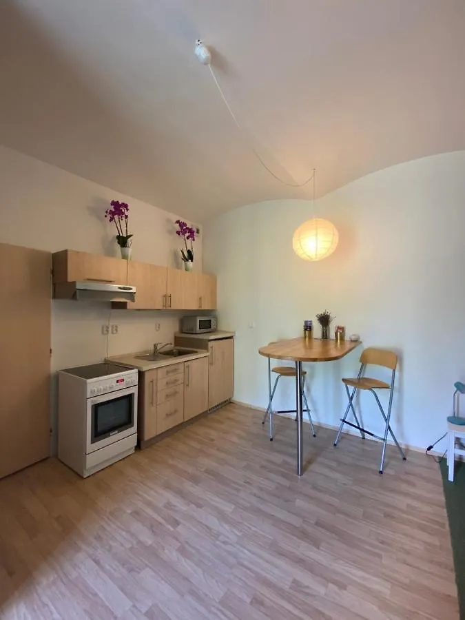 Dragonfly Apartment Brno